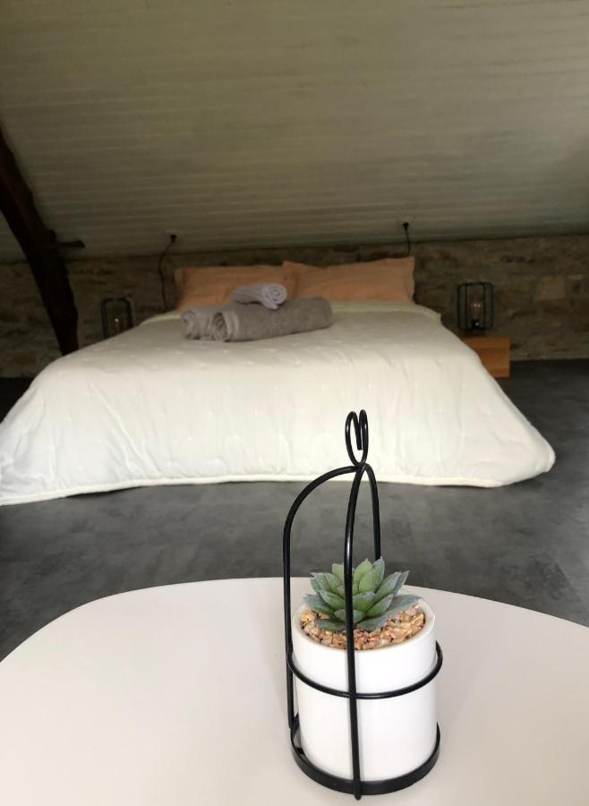 Le Domaine De La Claire Fontaine Gites -Chambres D'Hotes Montvalent エクステリア 写真